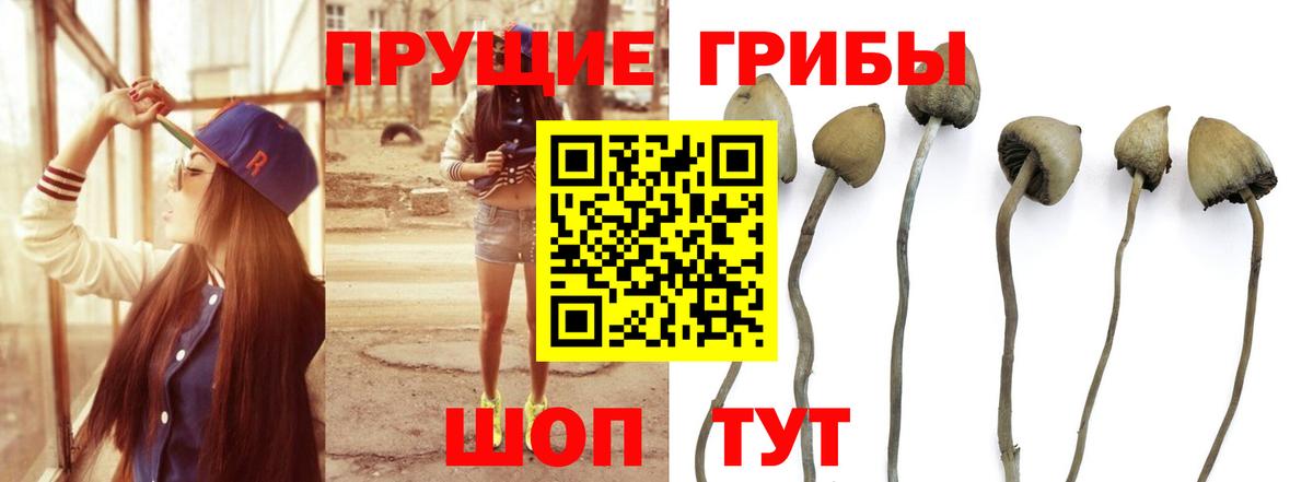 Стрежевой  цена наркотик  Галлюциногенные грибы Psilocybine cubensis  Вход с VPN  Галлюциногенные грибы Cubensis 