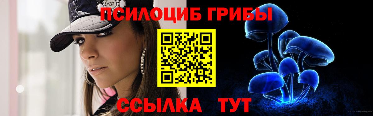 Псилоцибиновые грибы мицелий Стрежевой